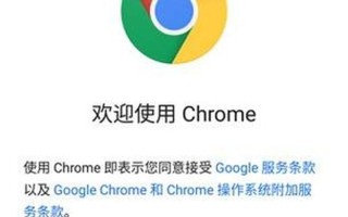 le浏览器(国内手机怎么上google浏览器)
